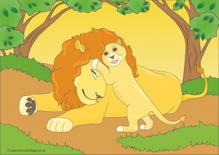 Lions Scene Poster