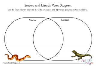 Lizards and Snakes Venn Diagram 