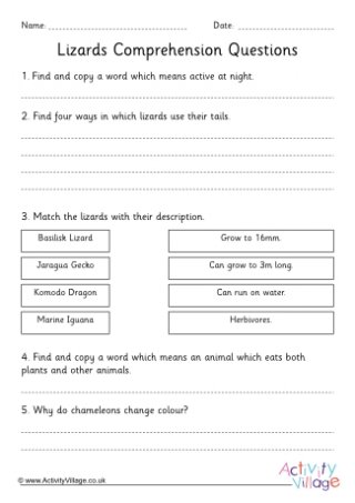 Lizards Comprehension Questions