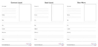 Lizards in UK Fact Finding Worksheet 