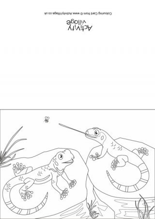 Lizards Scene Colouring Card