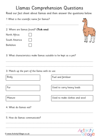 Llama Comprehension Questions