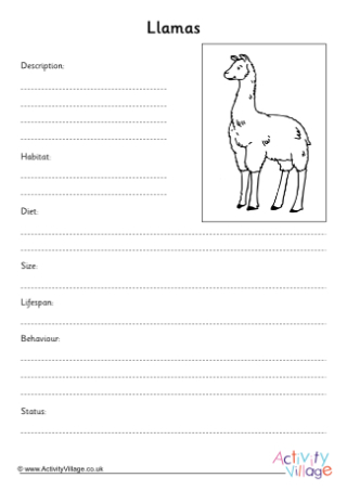 Llama Fact Finding Worksheet