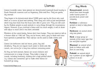 Llama Fact Sheet