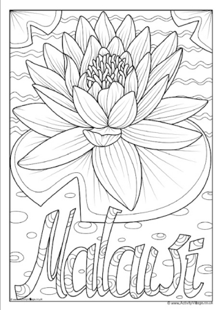 Malawi National Flower Colouring Page