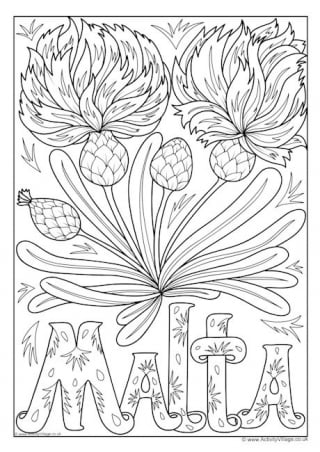 Malta National Flower Colouring Page