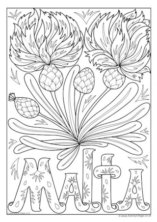 Malta National Flower Colouring Page