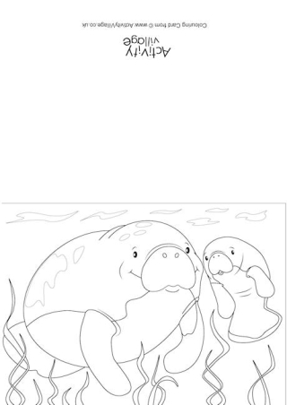 Manatees Scene Colouring Card