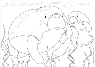 Manatees Scene Colouring Page