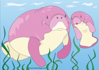 Manatees Scene Poster