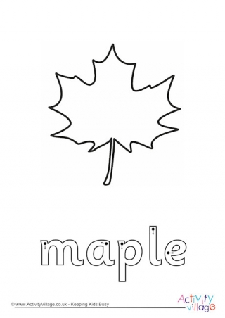 Maple Finger Tracing