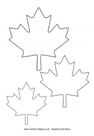 Maple Leaf Template