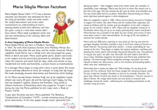 Maria Sibylla Merian Factsheet