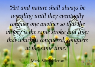 Maria Sibylla Merian Quote Poster