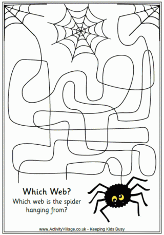 Maze Spider Web