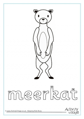Meerkat Finger Tracing