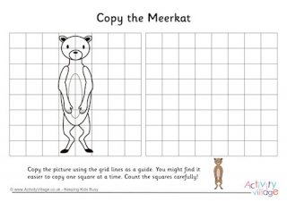 Meerkat Grid Copy