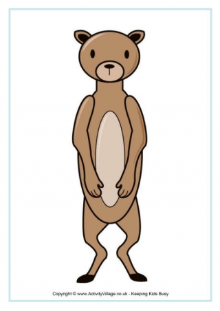 Meerkat Poster