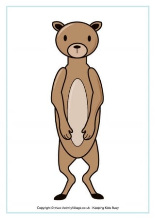 Meerkat Poster