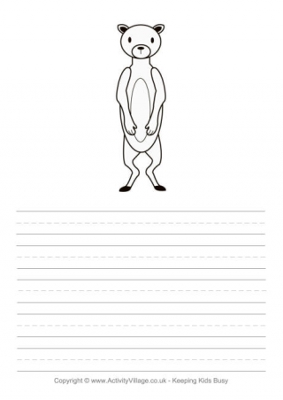Meerkat Story Paper