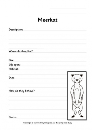Meerkat Worksheet