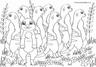 Meerkats Scene Colouring Page