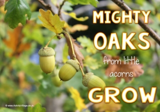 Mighty Oaks Poster