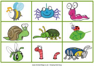 Minibeasts Matching Game