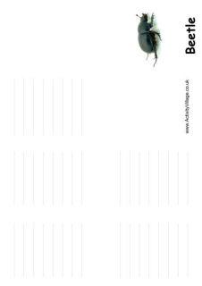 Minibeast Booklets