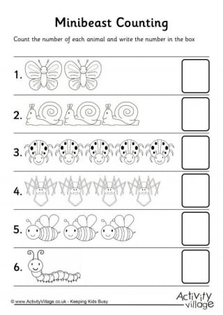 Minibeast Counting 2