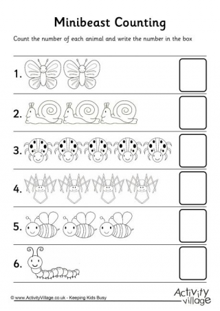 Minibeast Counting 2