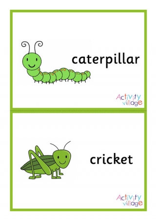 Minibeast Flashcards - Large