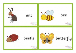 Minibeast Flashcards - Small