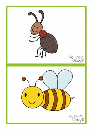Minibeast Picture Flashcards