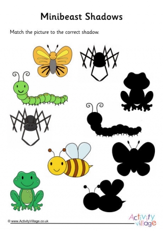 Minibeast Shadow Puzzle