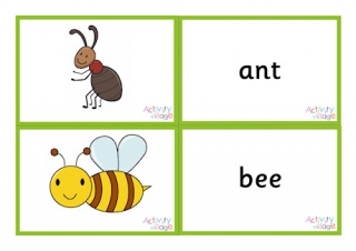 Minibeast Vocabulary Matching Cards