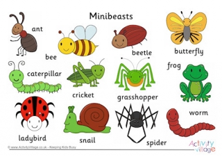 Minibeast Word Mat