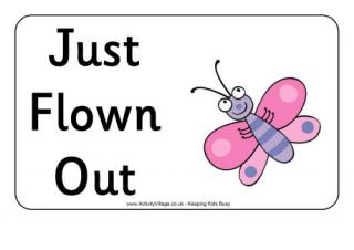 Minibeast Door Sign - Flown Out