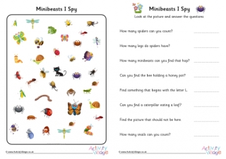 Minibeasts I Spy