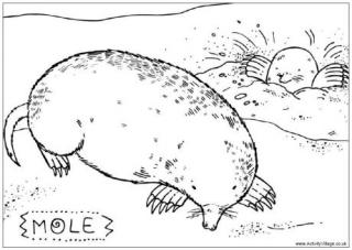 Mole Colouring Page