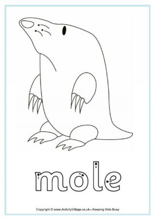 Mole Finger Tracing Sheet