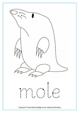 Mole Word Tracing