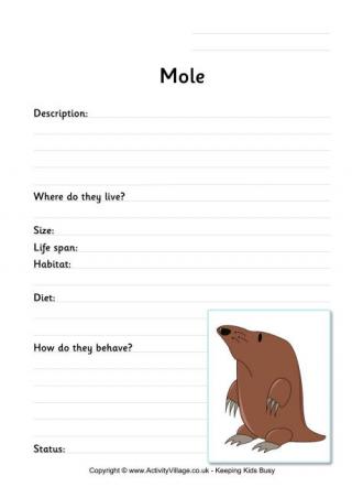 Mole Worksheet