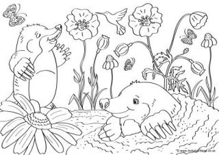 Moles Scene Colouring Page