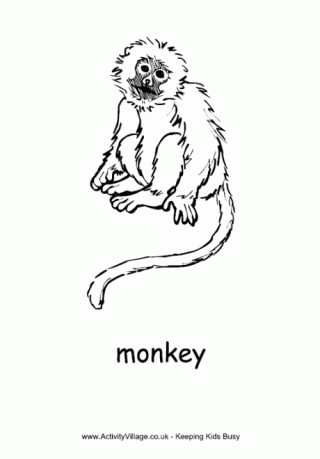 Monkey Colouring Page