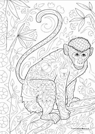 Monkey Adult Coloring Pages 1