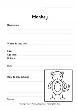 Monkey worksheet