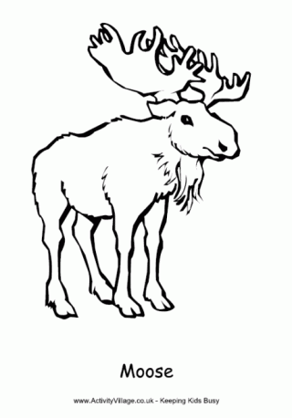 Moose Colouring Page
