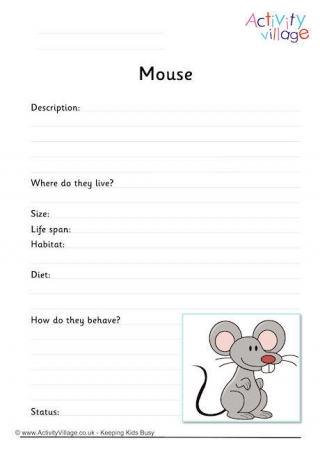 Mouse Worksheet