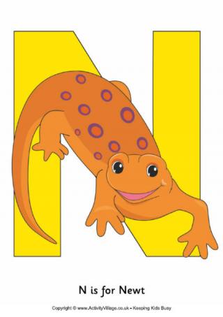 N is for Newt Poster